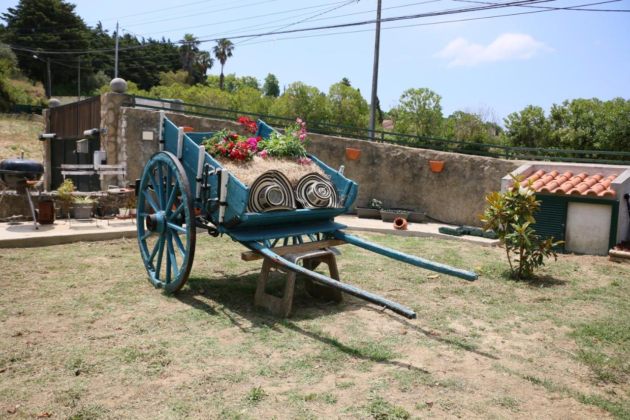 Quinta Da Chapeleira Em Azeitao Villa Exterior foto