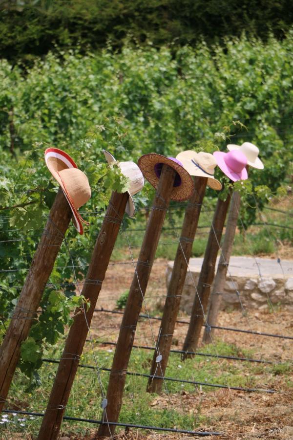 Quinta Da Chapeleira Em Azeitao Villa Exterior foto